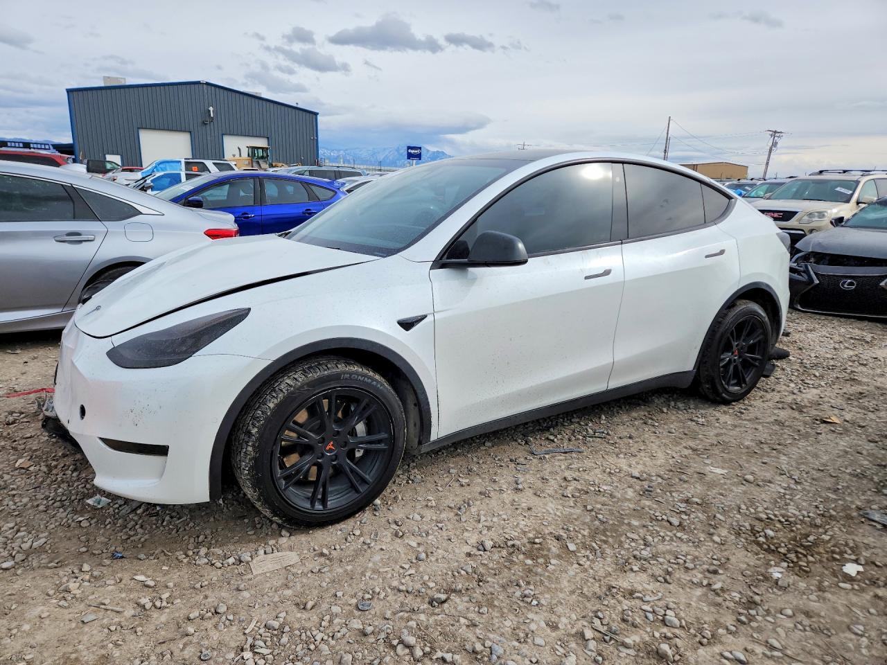 2020 Tesla Model Y - zdjęcie główne