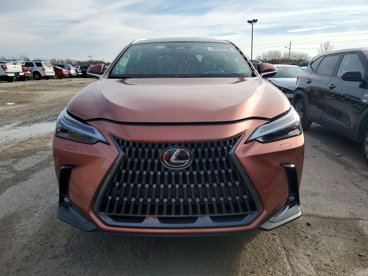 2025 Lexus Nx 350 Luxury - zdjęcie 5