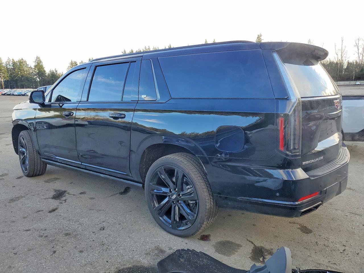 2025 Cadillac Escalade Esv Sport Platinum - zdjęcie 2