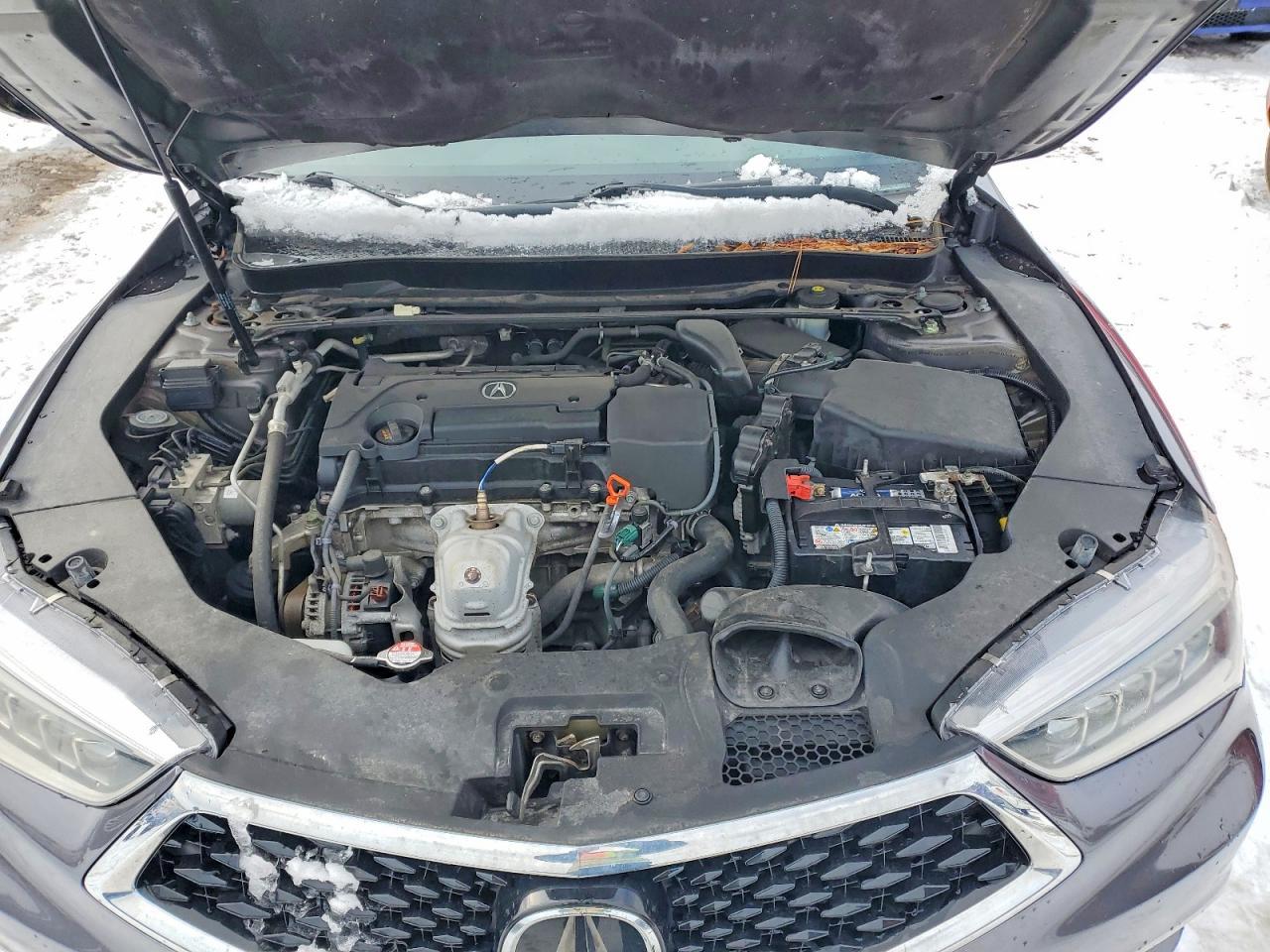2019 Acura Tlx Technology - zdjęcie 11