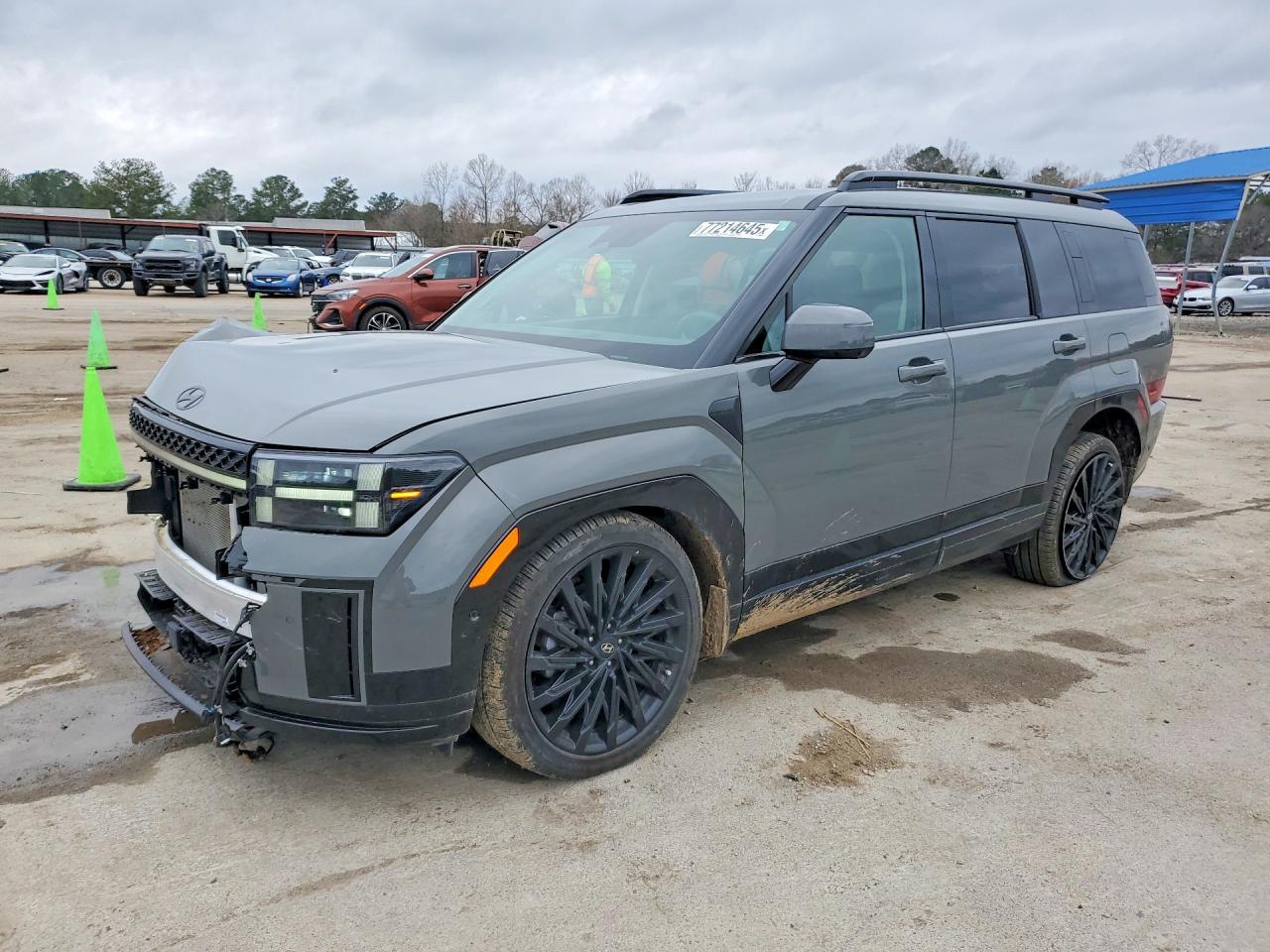 2025 Hyundai Santa Fe Calligraphy - zdjęcie główne