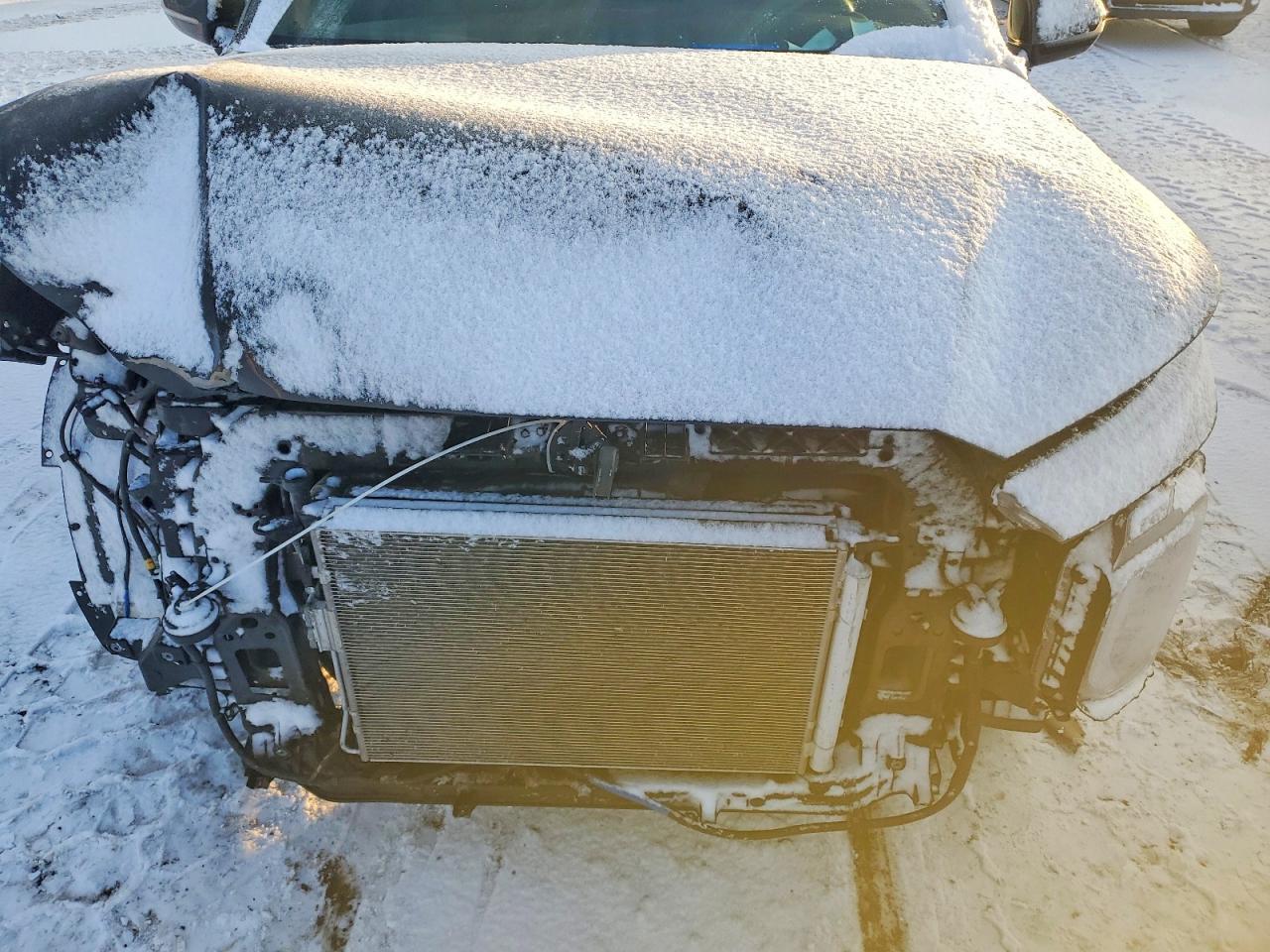 2021 Hyundai Palisade Calligraphy - zdjęcie 11