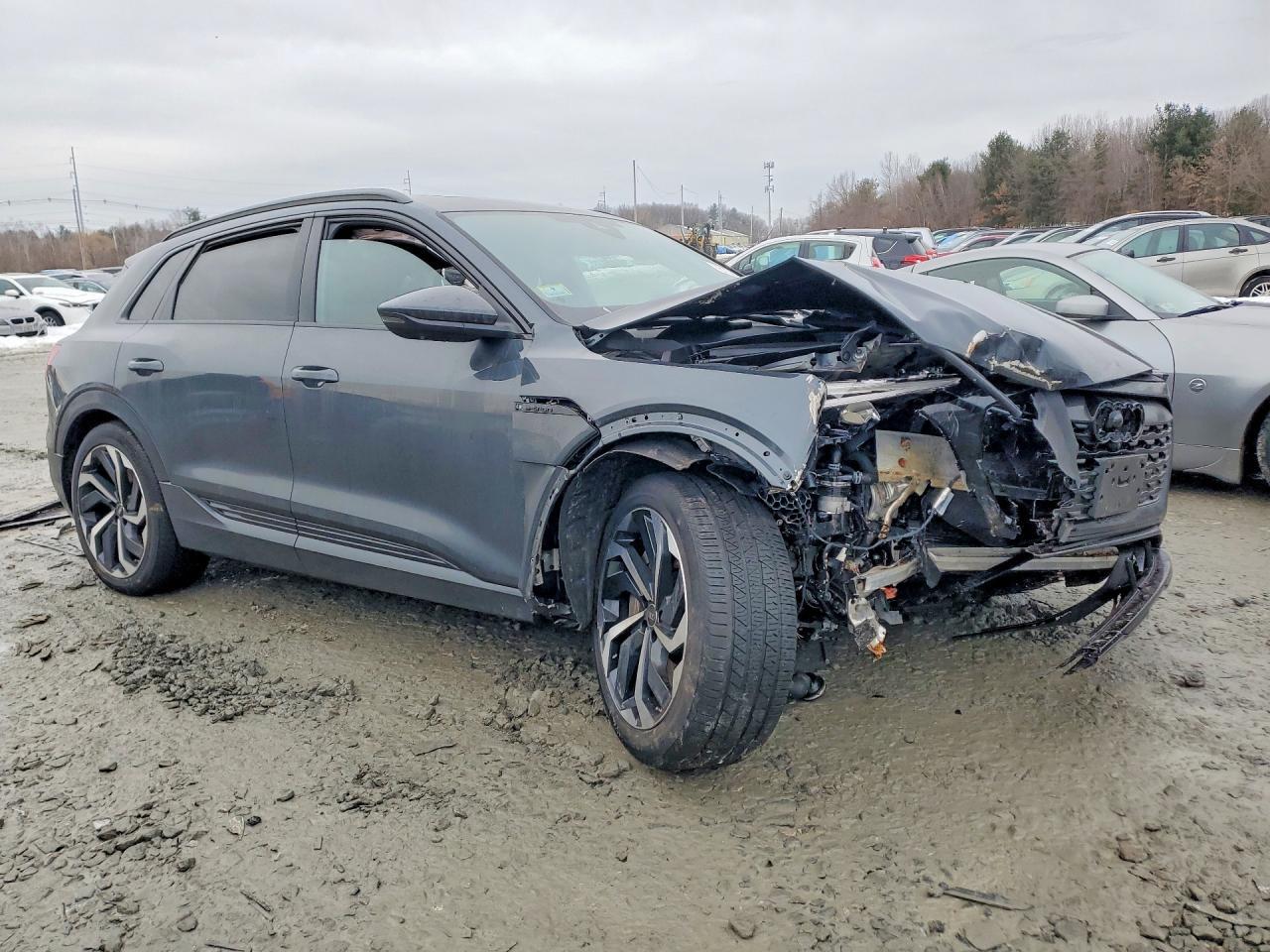 2024 Audi Q8 E-Tron Premium Plus - zdjęcie 4