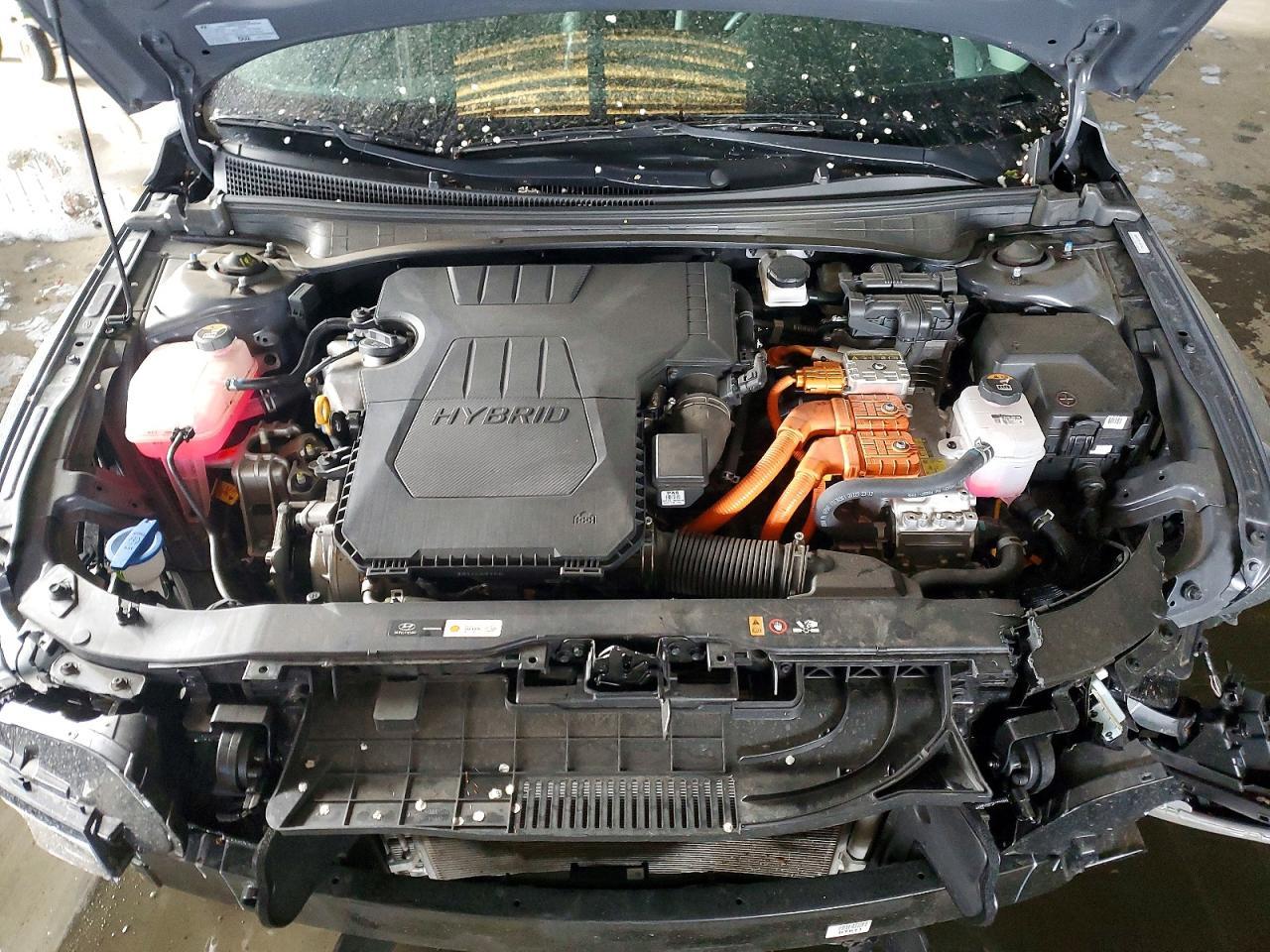 2025 Hyundai Elantra Limited - zdjęcie 11