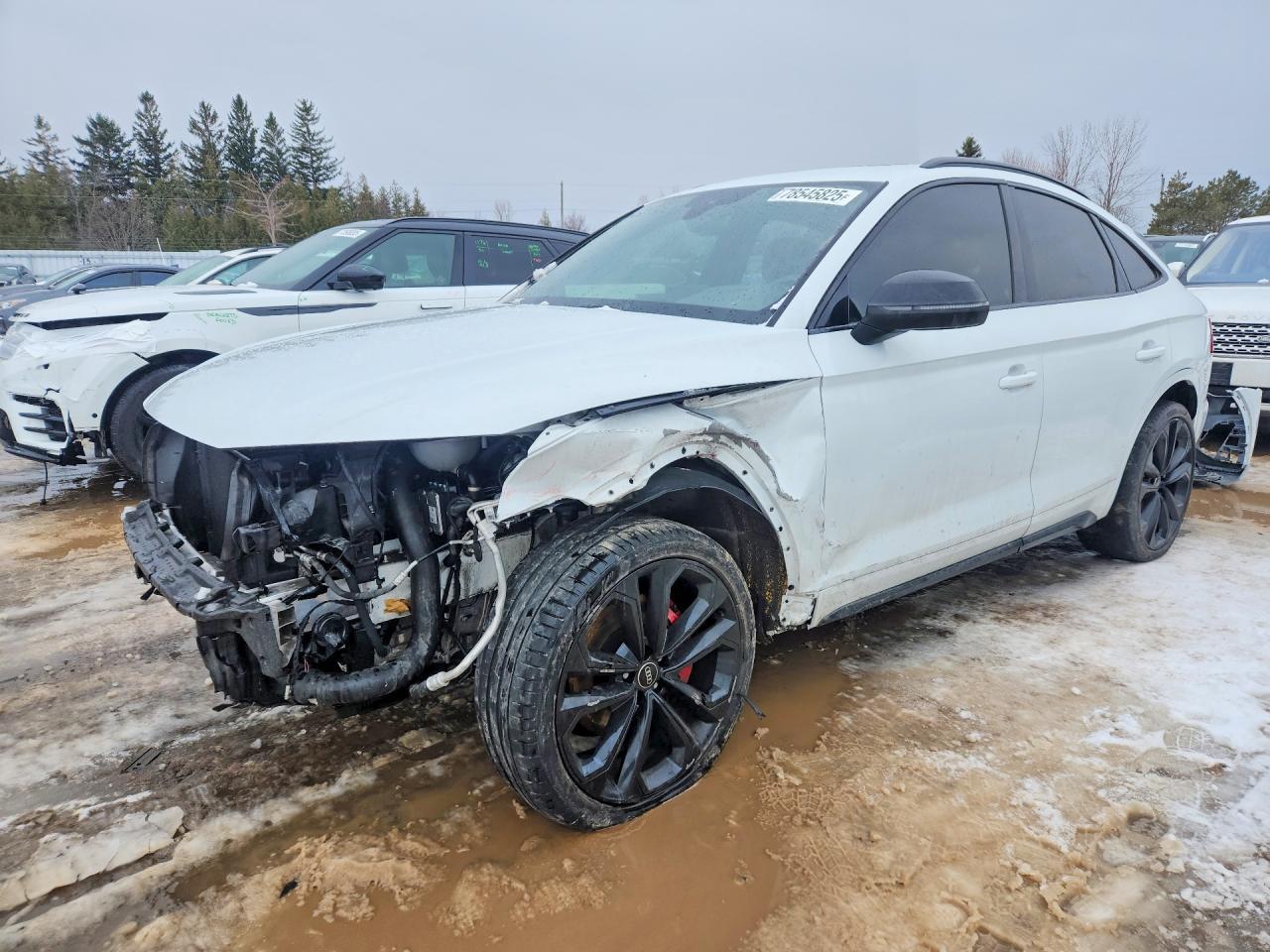 2023 Audi Sq5 Sportback Prestige - zdjęcie główne