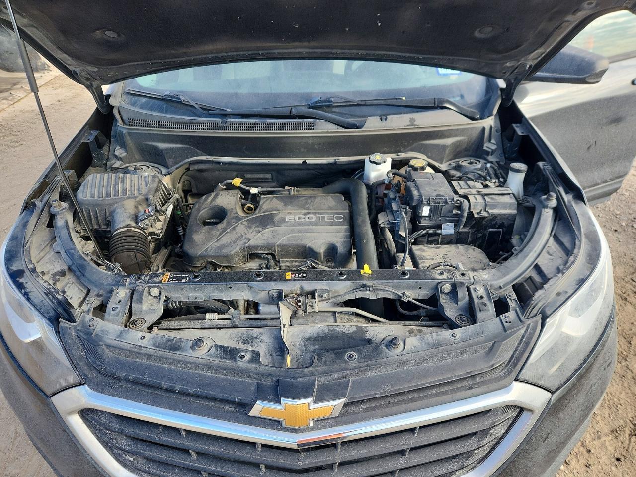 2020 Chevrolet Equinox Ls - zdjęcie 12