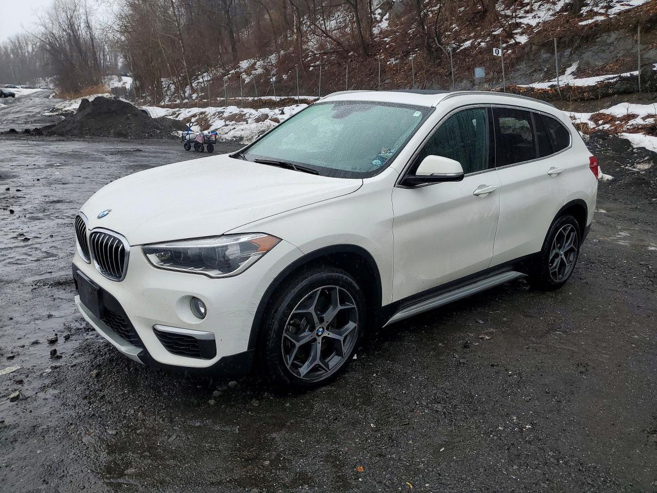 2018 BMW X1 xDrive28I - zdjęcie główne