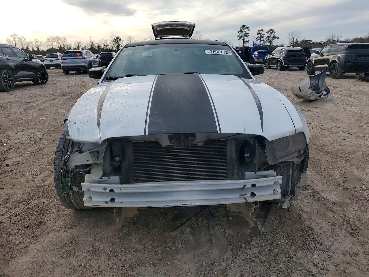 2014 Ford Mustang - zdjęcie 5