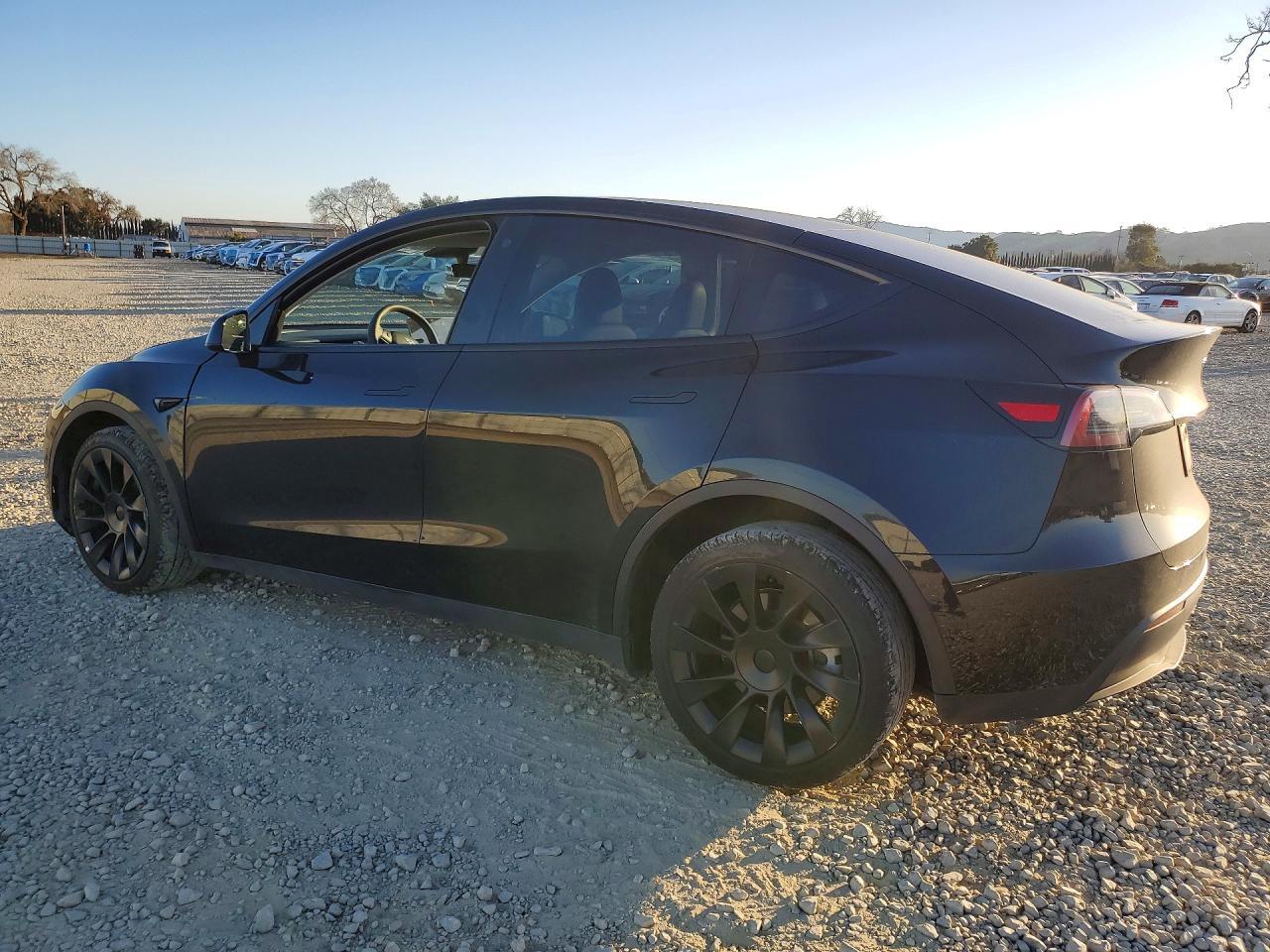 2023 Tesla Model Y - zdjęcie 2