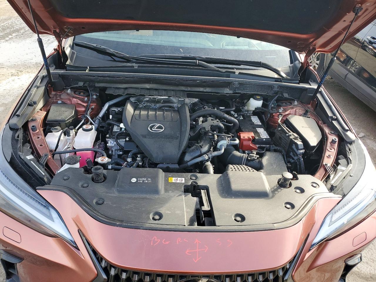 2025 Lexus Nx 350 Luxury - zdjęcie 12