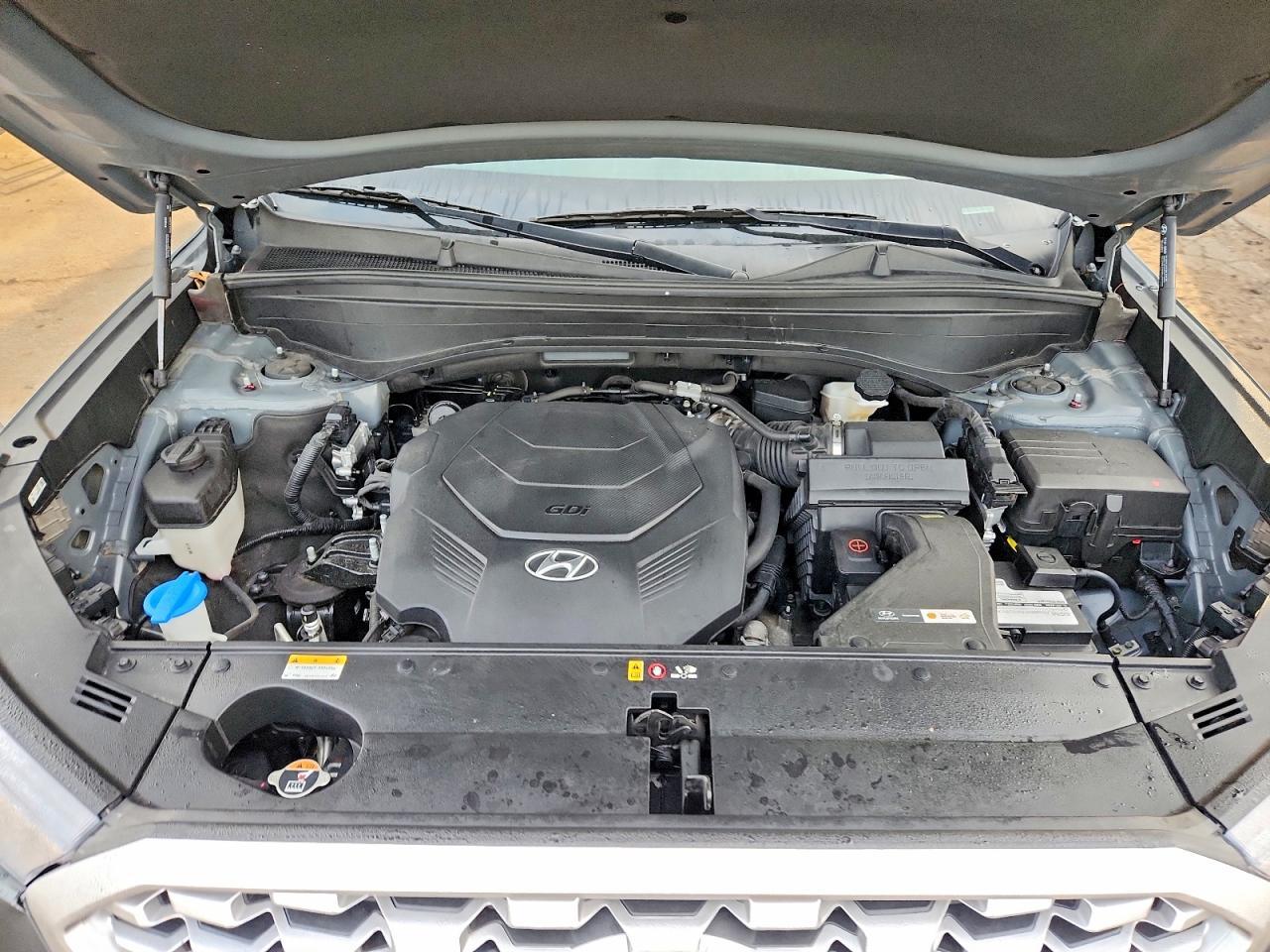 2022 Hyundai Palisade Sel - zdjęcie 12