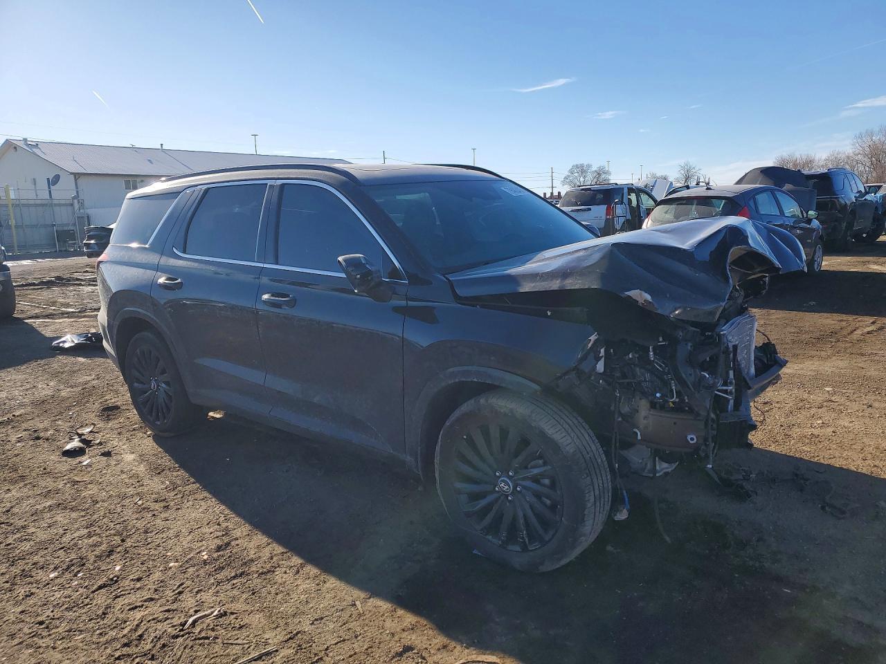 2025 Hyundai Palisade Calligraphy Night Edition - zdjęcie 4