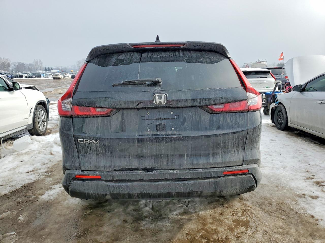 2023 Honda Cr-V Exl - zdjęcie 6