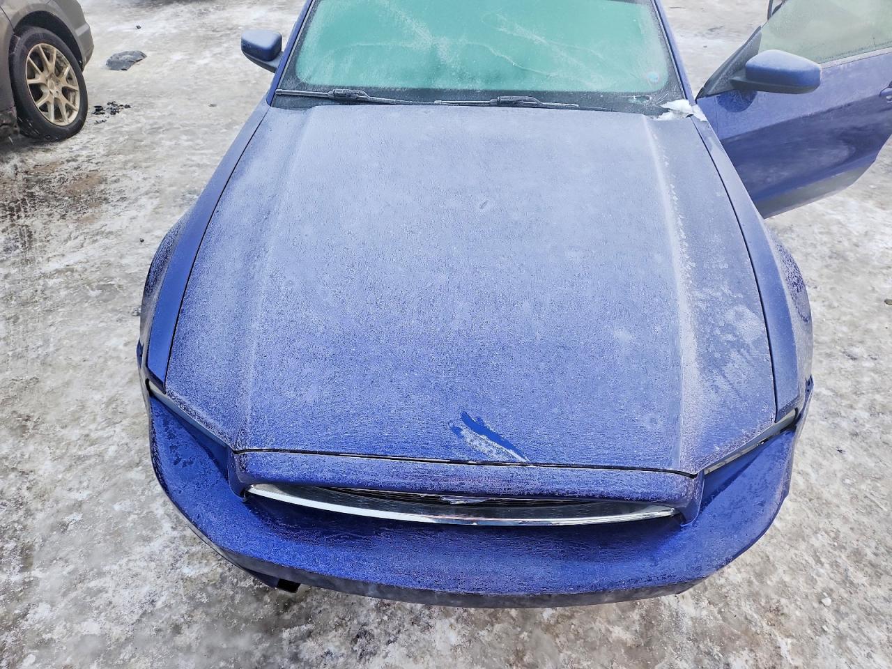 2014 Ford Mustang - zdjęcie 11