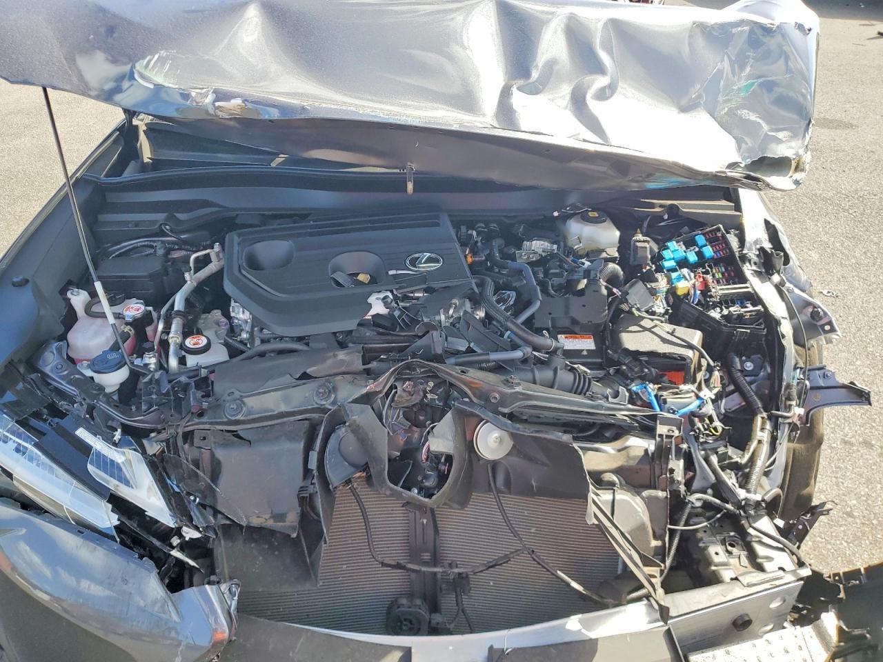 2025 Lexus Ux 300H Base - zdjęcie 12