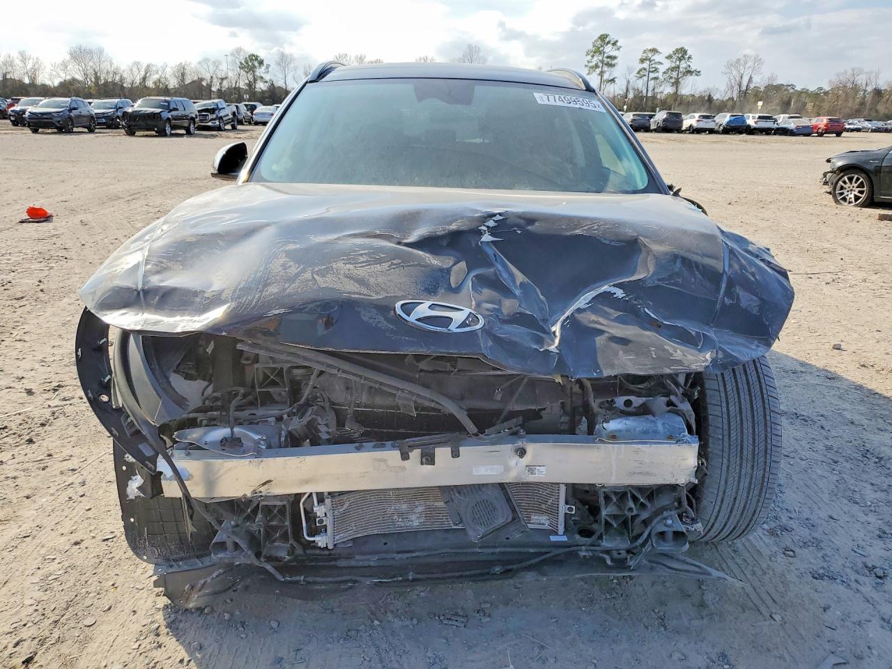 2025 Hyundai Ioniq 5 Limited - zdjęcie 5