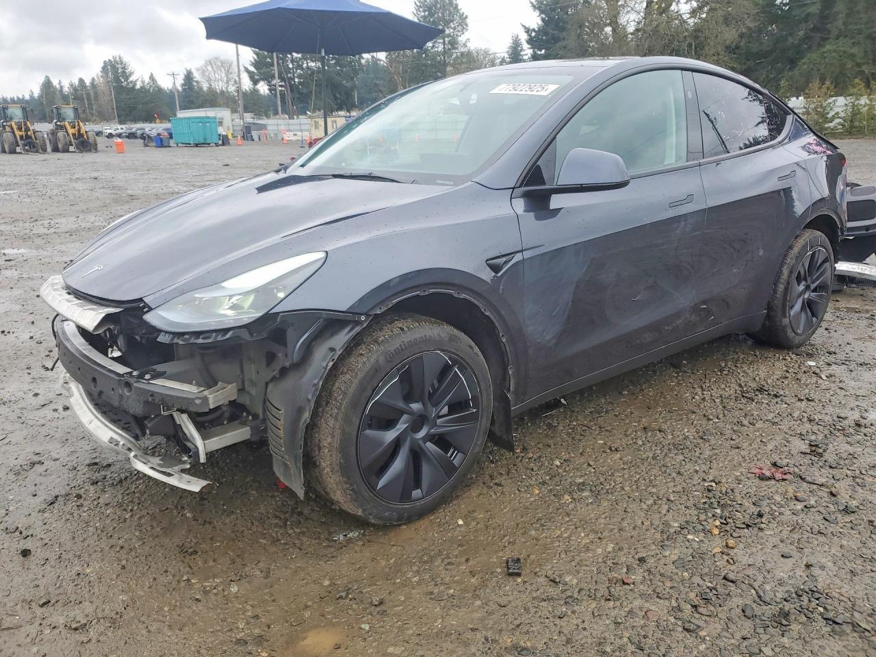 2025 Tesla Model Y - zdjęcie główne