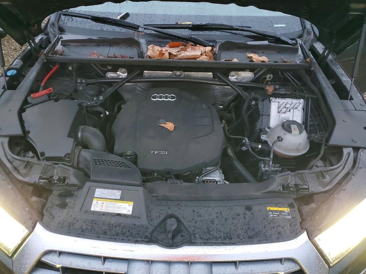 2019 Audi Q5 Premium Plus - zdjęcie 12