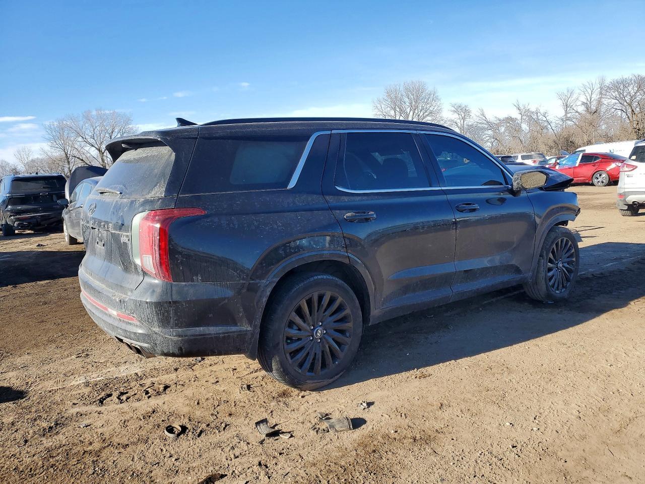 2025 Hyundai Palisade Calligraphy Night Edition - zdjęcie 3