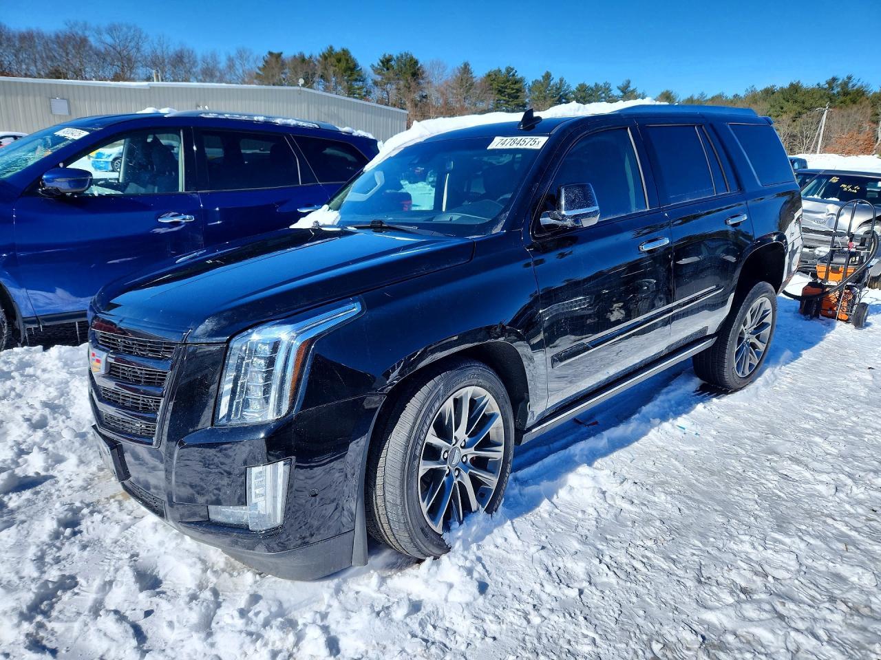 2019 Cadillac Escalade