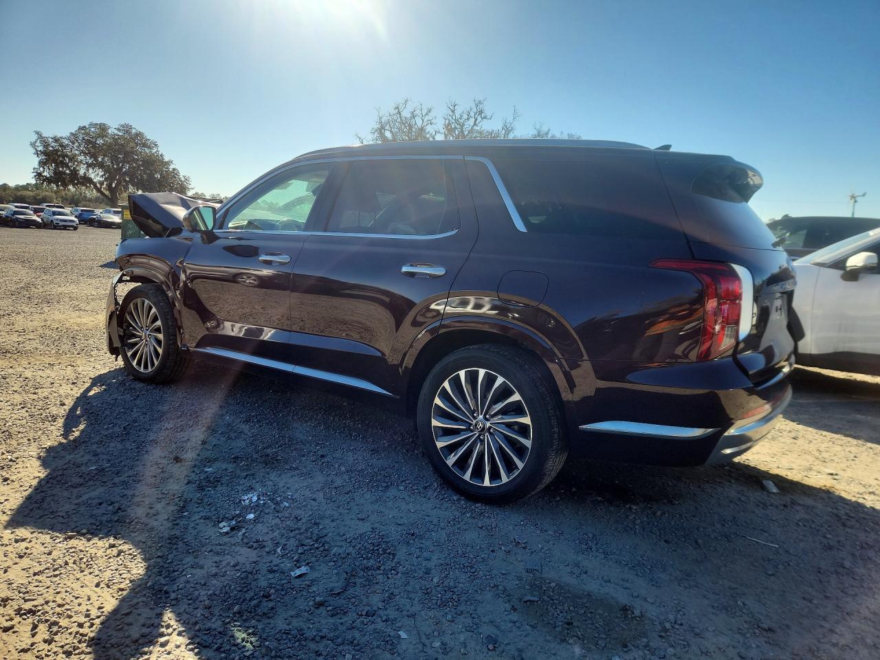 2024 Hyundai Palisade Calligraphy - zdjęcie 2