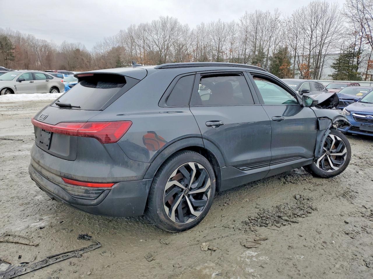 2024 Audi Q8 E-Tron Premium Plus - zdjęcie 3