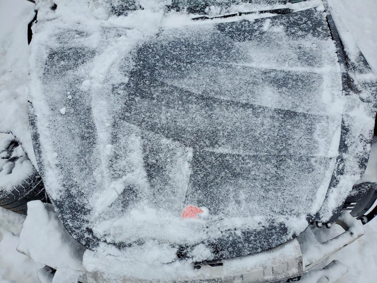 2024 Tesla Model Y - zdjęcie 11