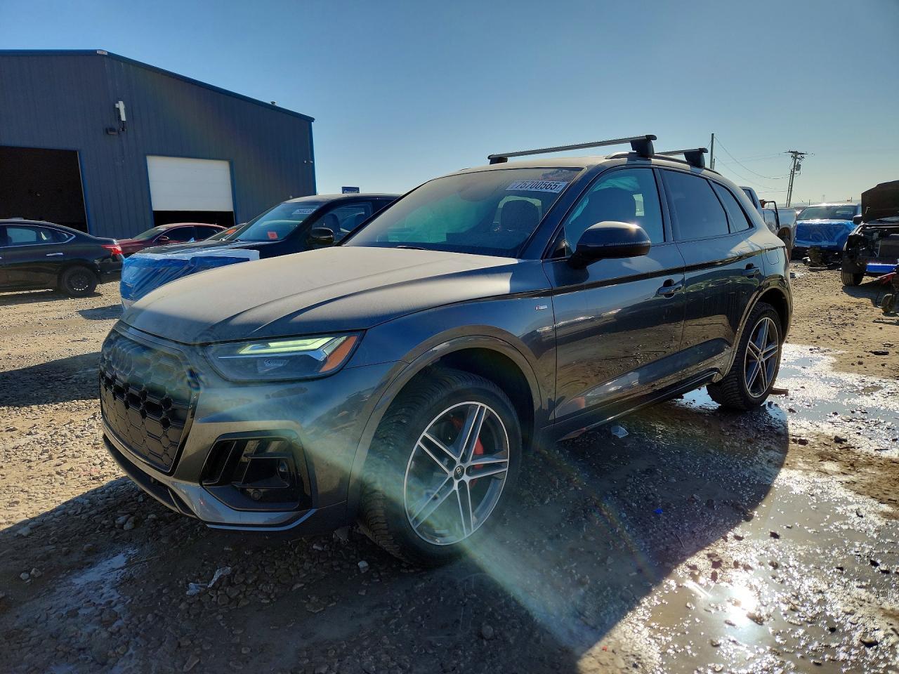 2024 Audi Q5 E Premium Plus 55 - zdjęcie główne