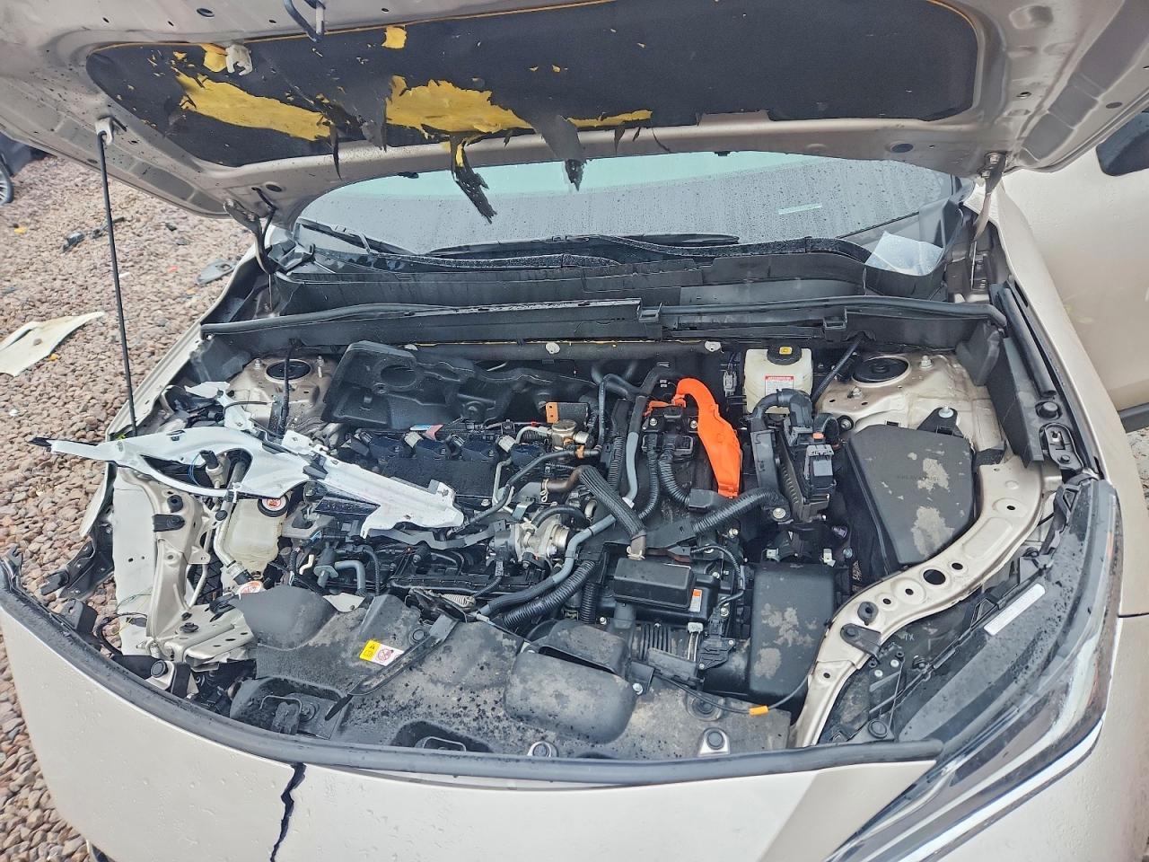 2024 Toyota Venza Limited - zdjęcie 11