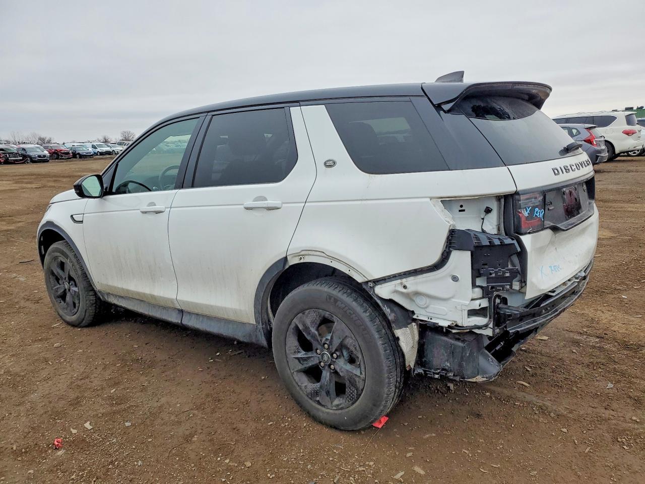 2020 Landau Boat Co Discovery Sport - zdjęcie 2