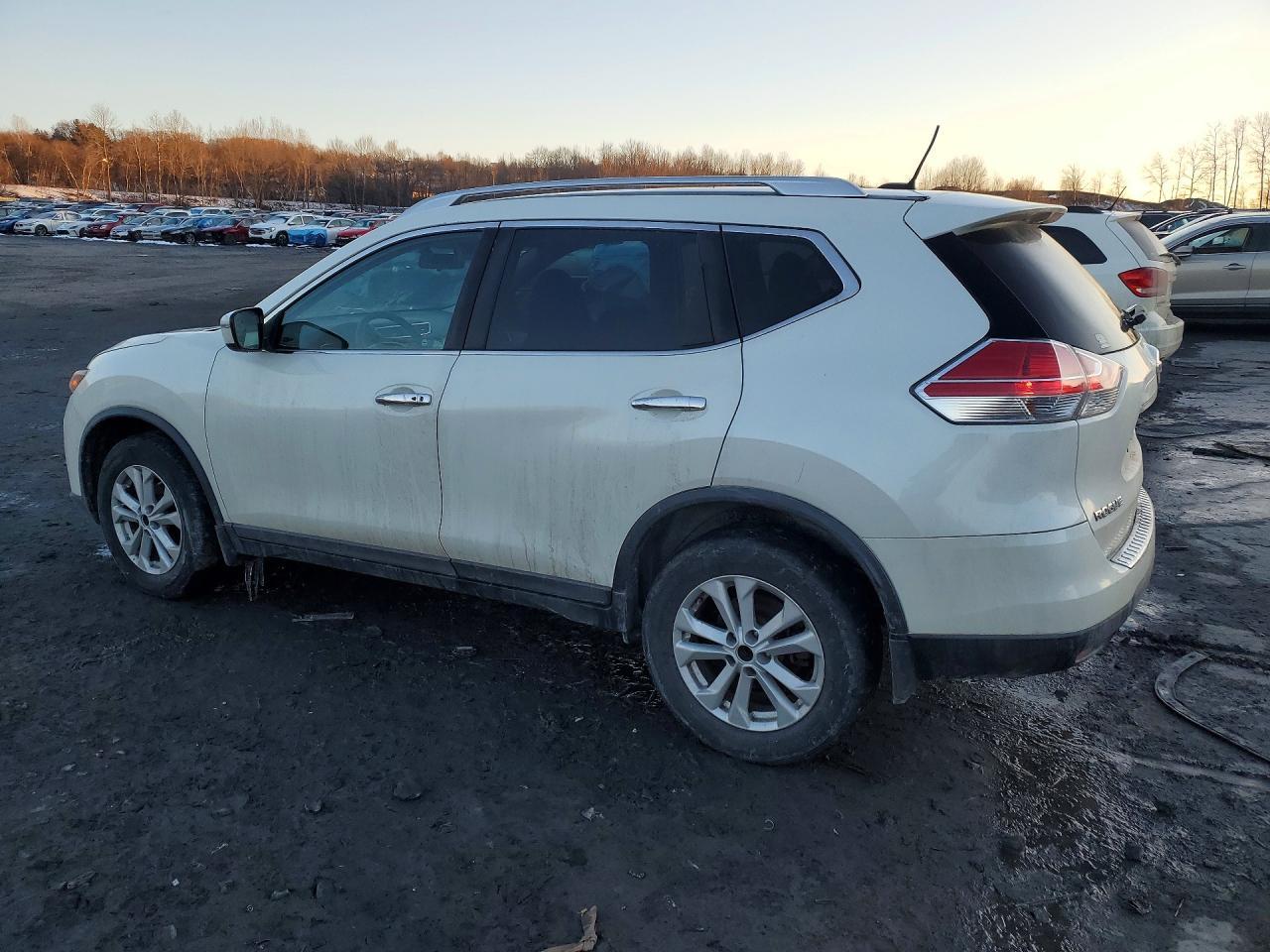 2016 Niss Rogue S - zdjęcie 2