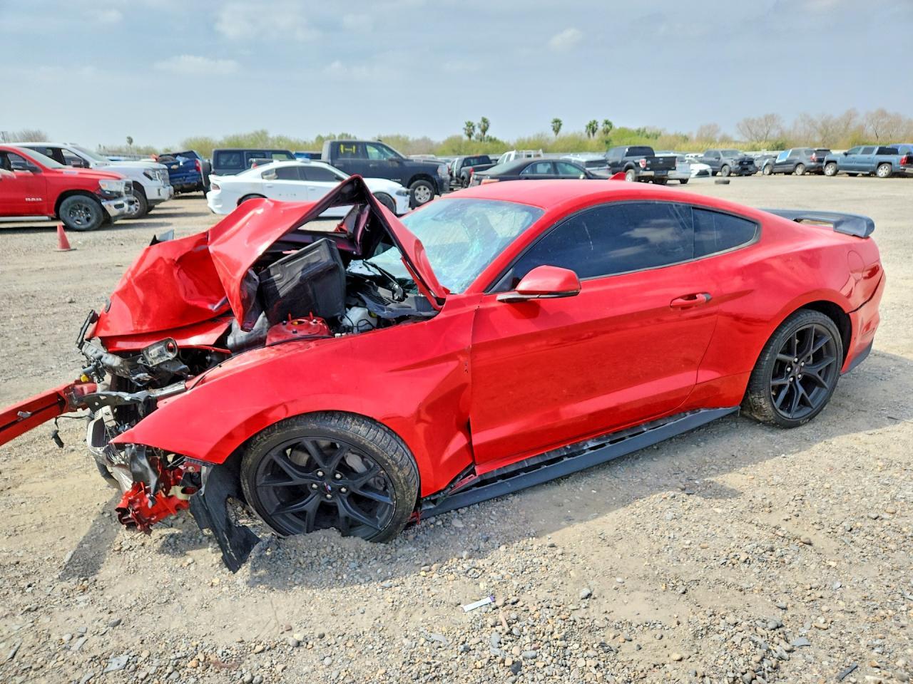 2021 Ford Mustang Gt - zdjęcie główne