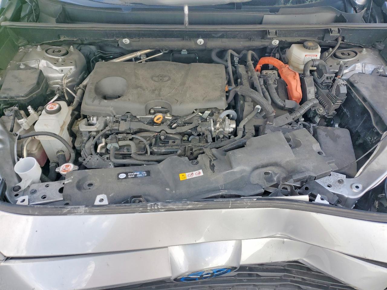 2024 Toyota Rav4 Hybrid Le - zdjęcie 11