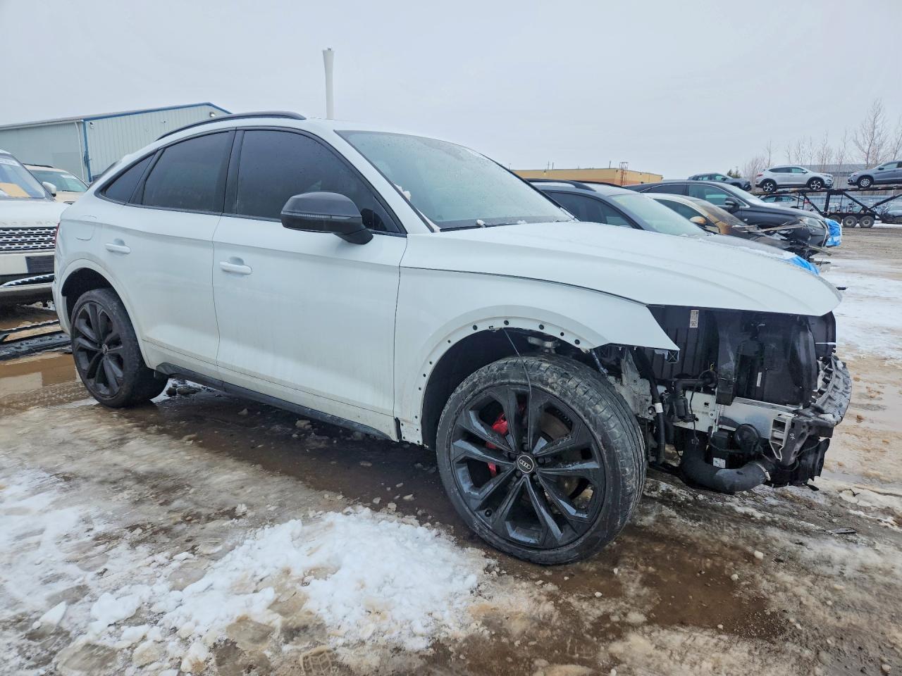 2023 Audi Sq5 Sportback Prestige - zdjęcie 4