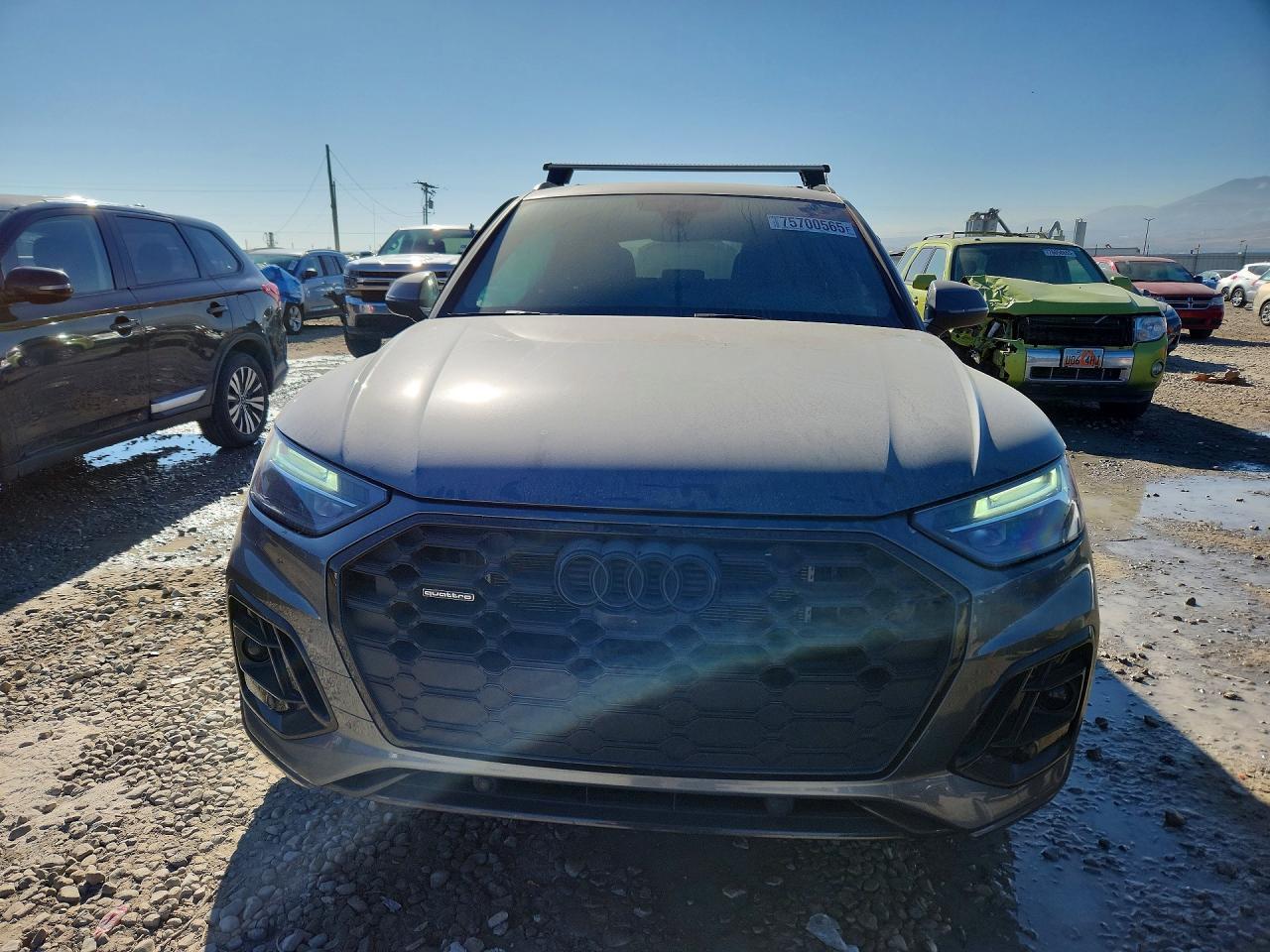 2024 Audi Q5 E Premium Plus 55 - zdjęcie 5