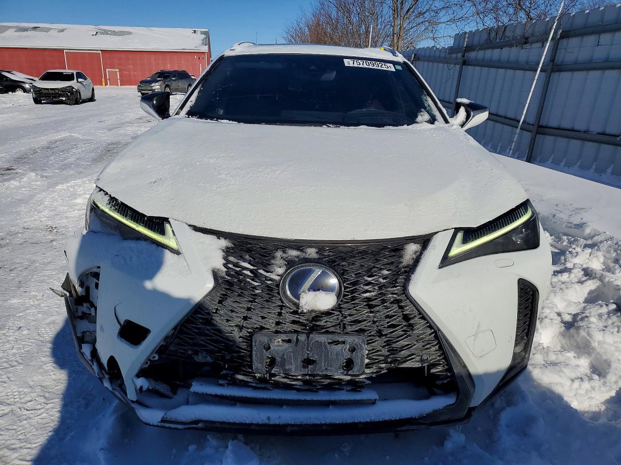 2020 Lexus Ux 250H - zdjęcie 5