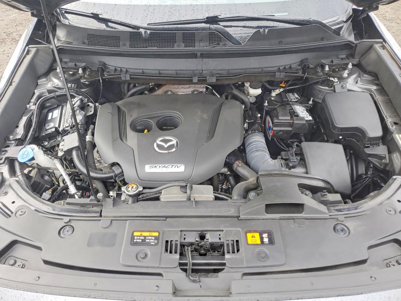 2019 Mazda Cx-9 Touring - zdjęcie 12