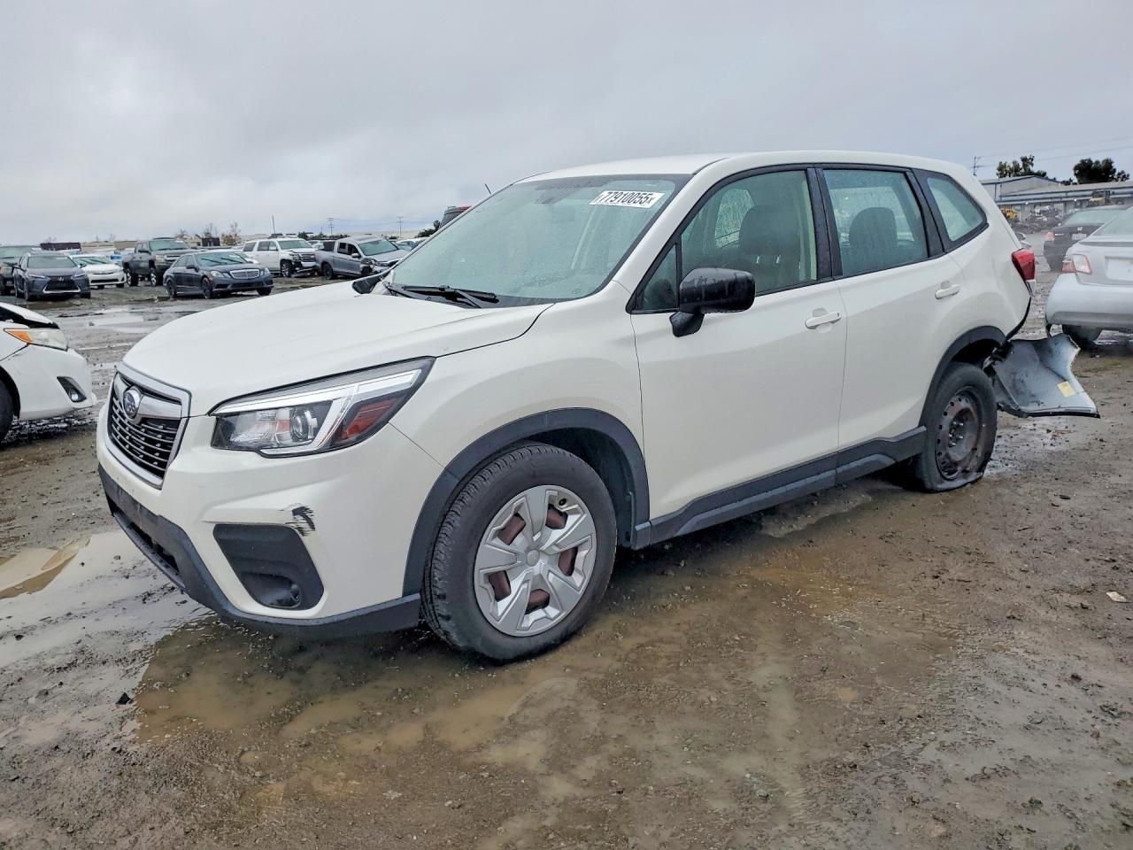 2019 Subaru Forester - zdjęcie główne