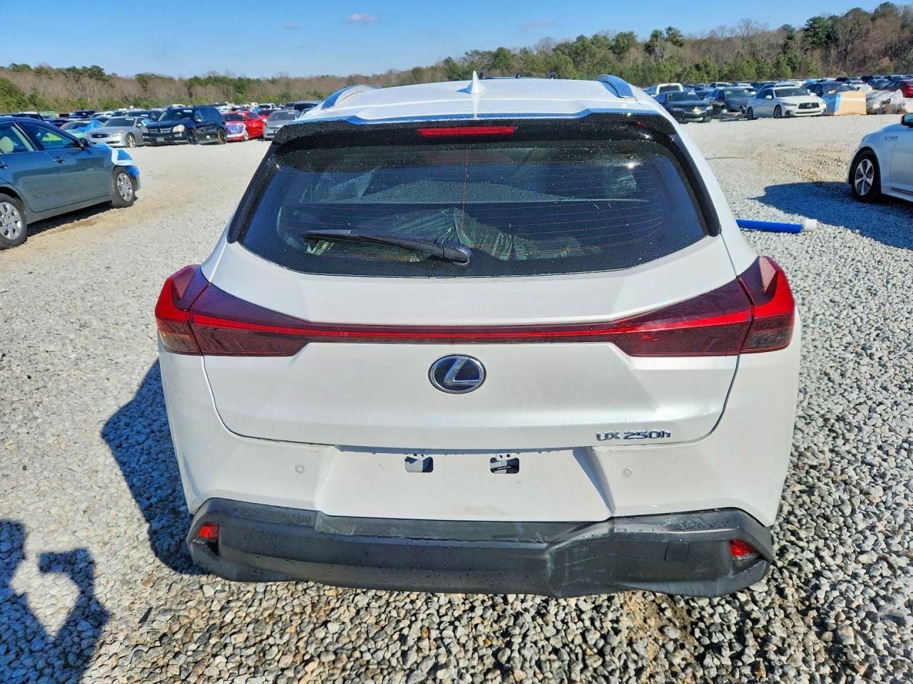 2020 Lexus Ux 250H Base - zdjęcie 6
