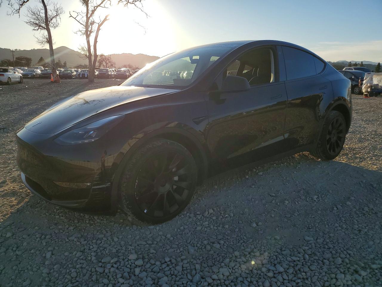 2023 Tesla Model Y - zdjęcie główne