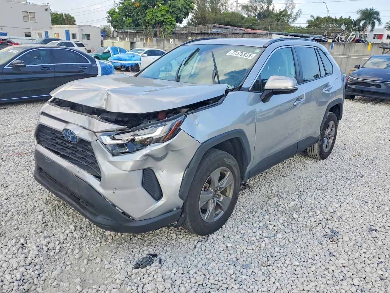 2024 Toyota Rav4 Hybrid Le - zdjęcie główne