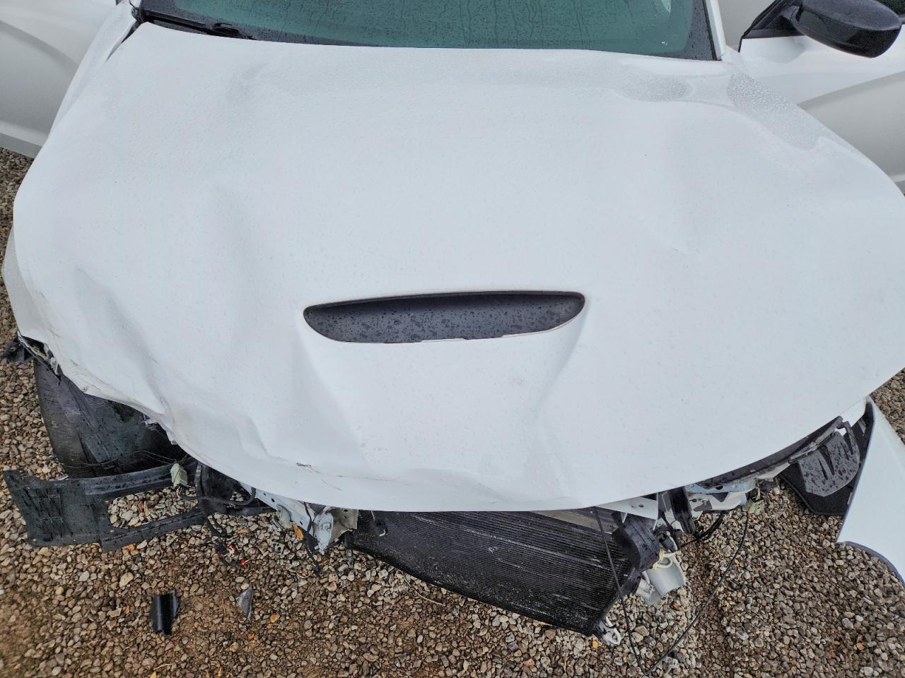 2019 Dodge Charger R/T - zdjęcie 11