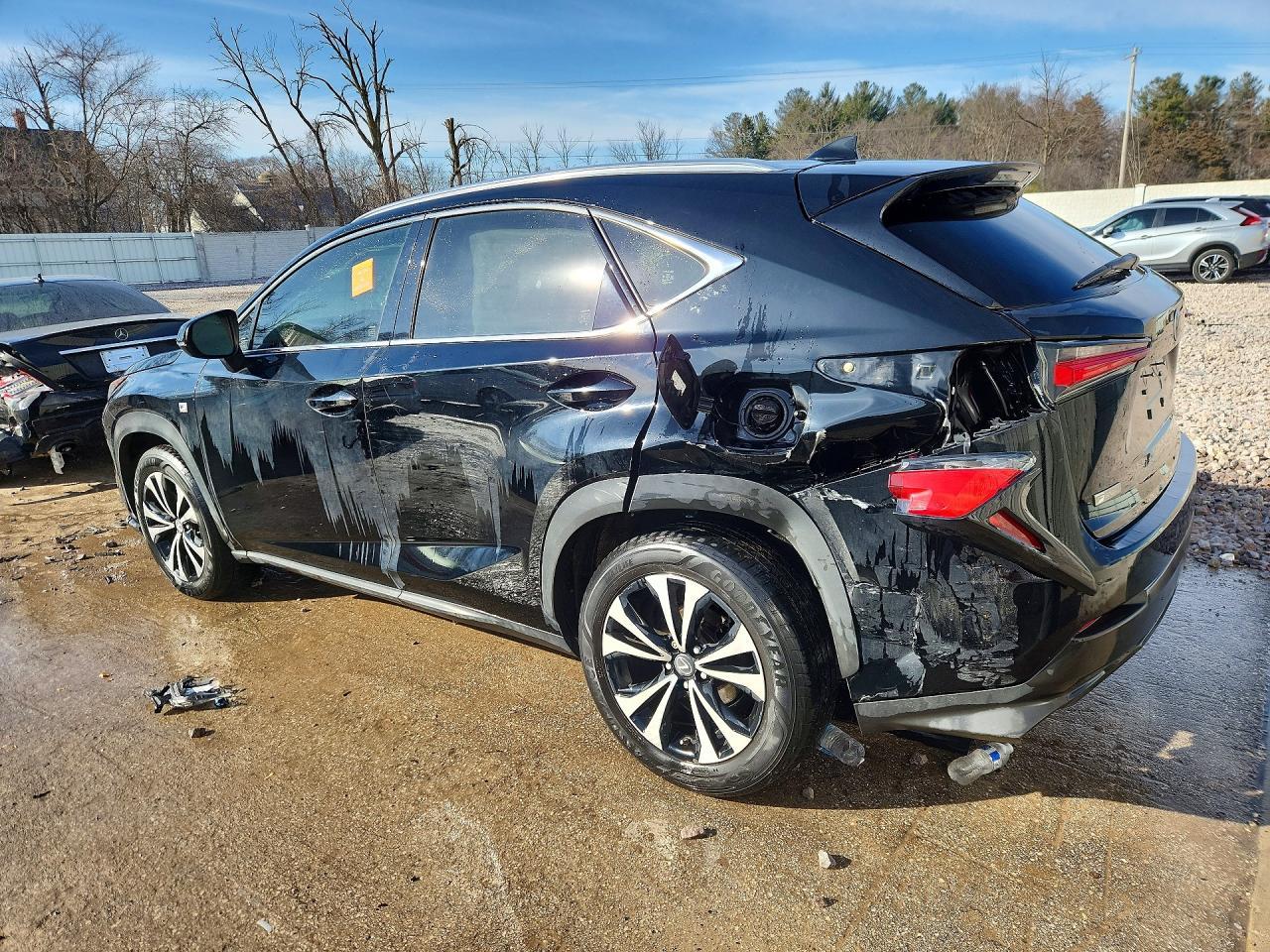 2018 Lexus Nx 300 F Sport - zdjęcie 2