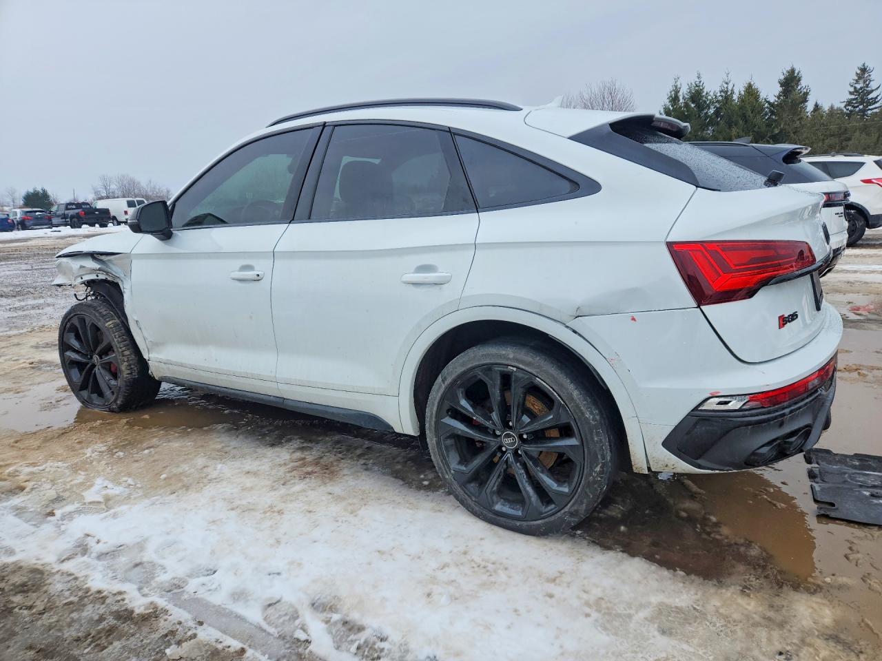 2023 Audi Sq5 Sportback Prestige - zdjęcie 2