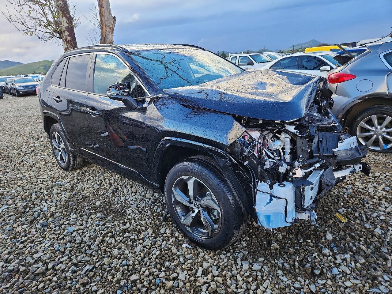 2025 Toyota Rav4 Se - zdjęcie 4