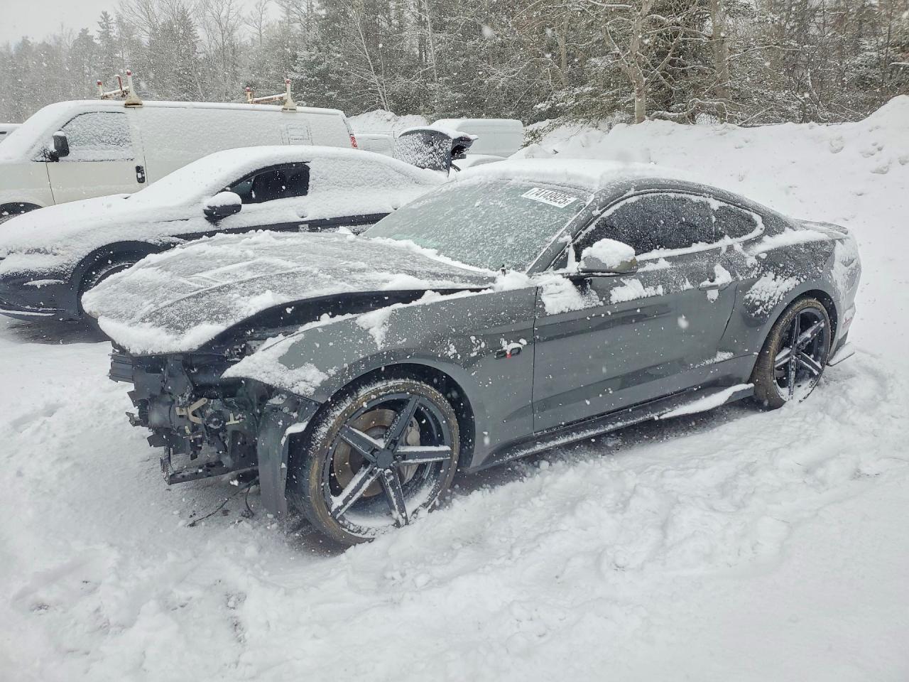 2019 Ford Mustang Gt - zdjęcie główne
