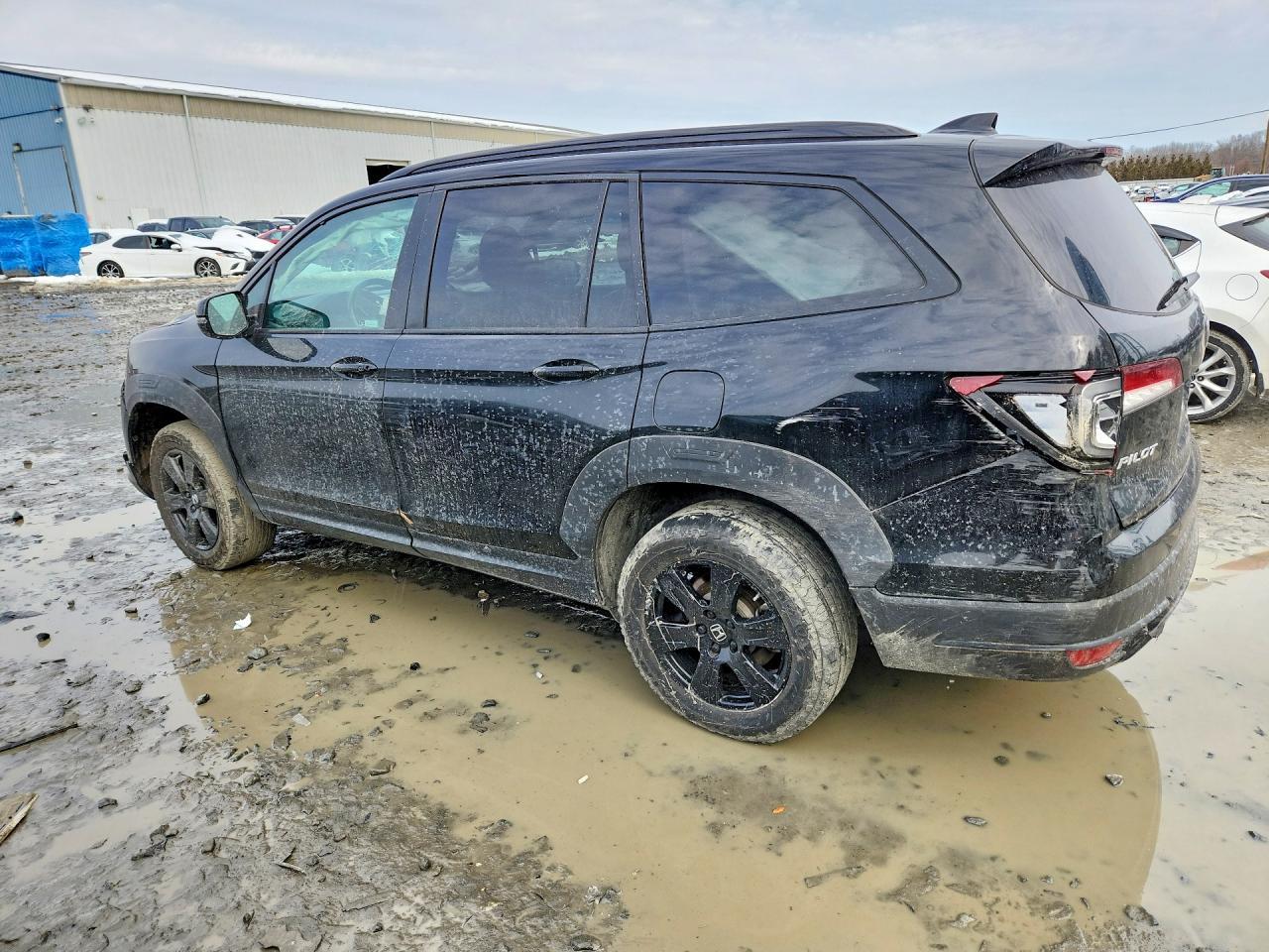 2022 Honda Pilot Trailsport - zdjęcie 2
