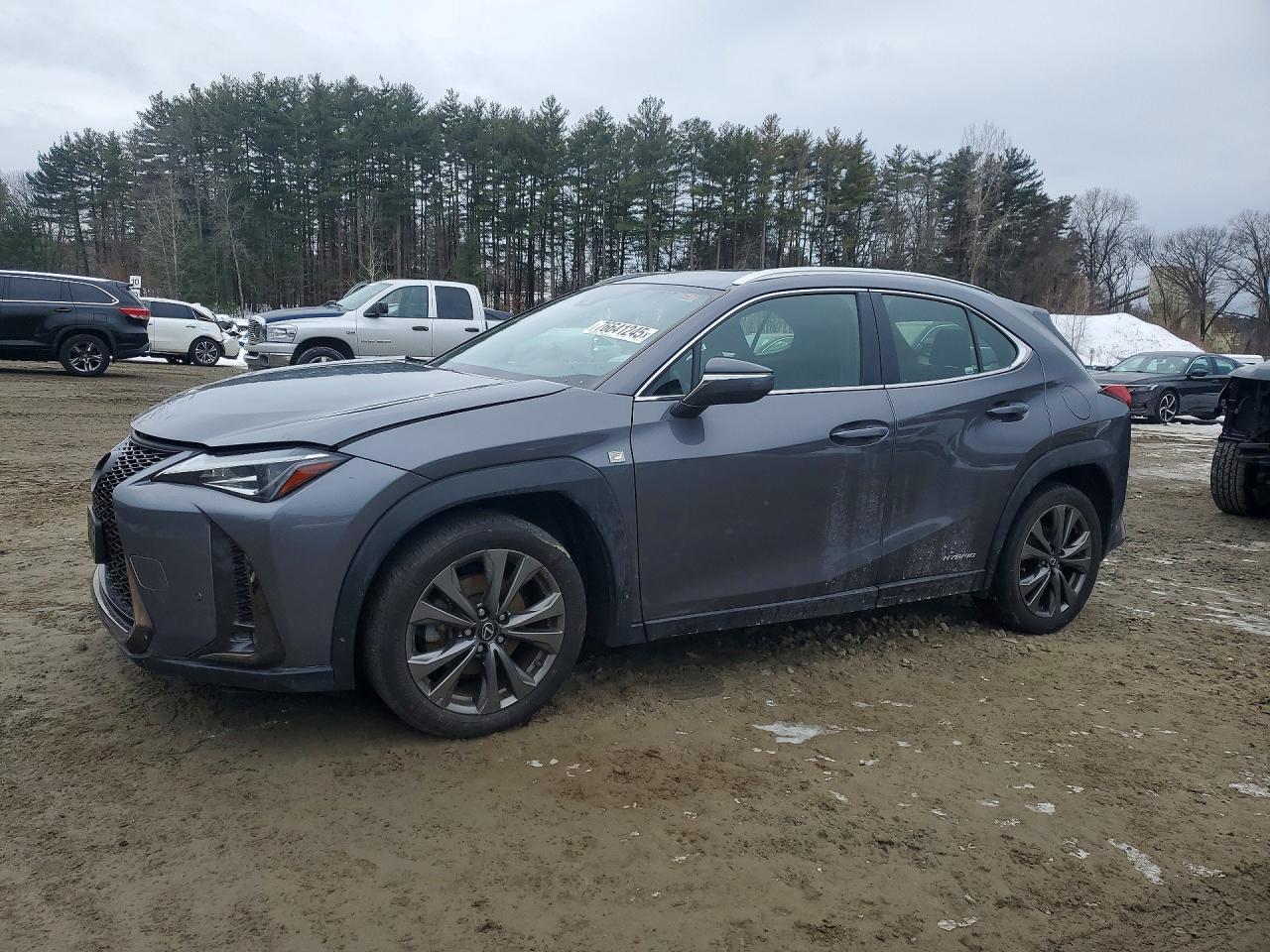 2019 Lexus Ux 250H - zdjęcie główne