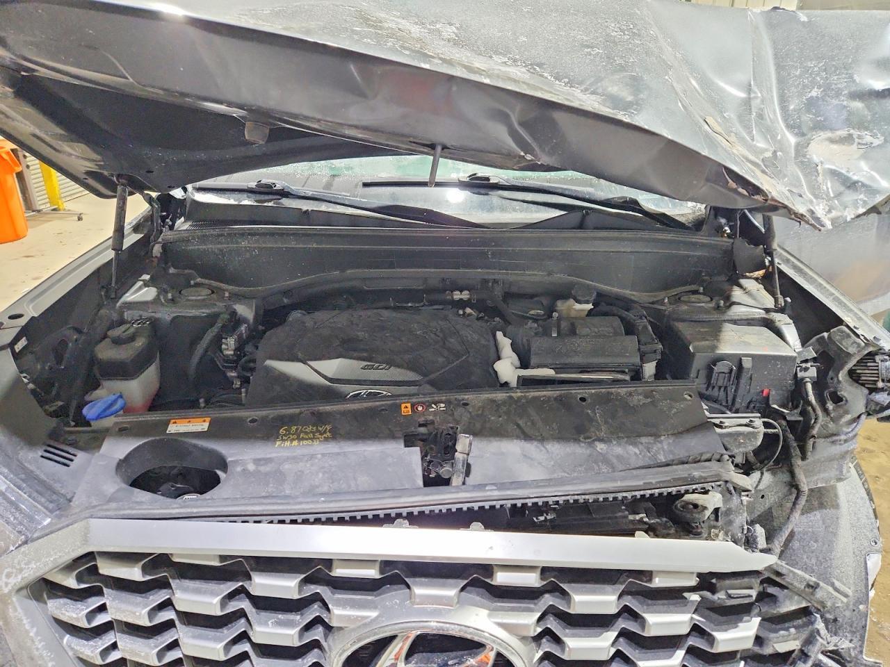 2021 Hyundai Palisade Sel - zdjęcie 12