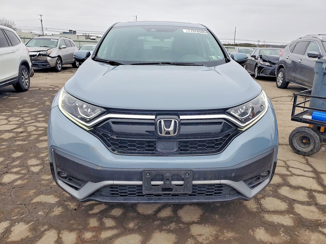 2021 Honda Cr-V Ex - zdjęcie 5